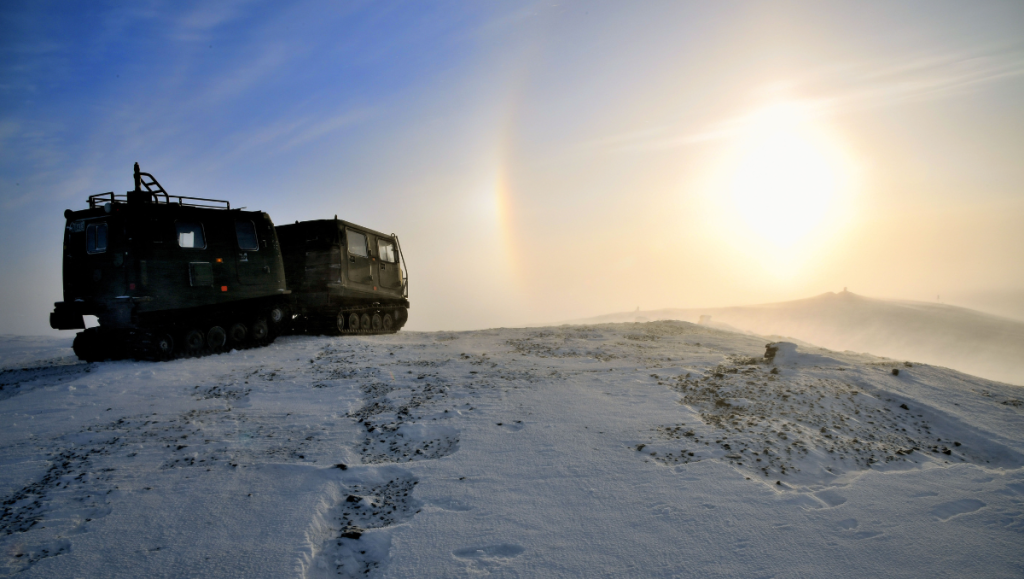 Bandvagn 206 (BV-206) vehicles, Domestic Arctic Mobility Enhancement