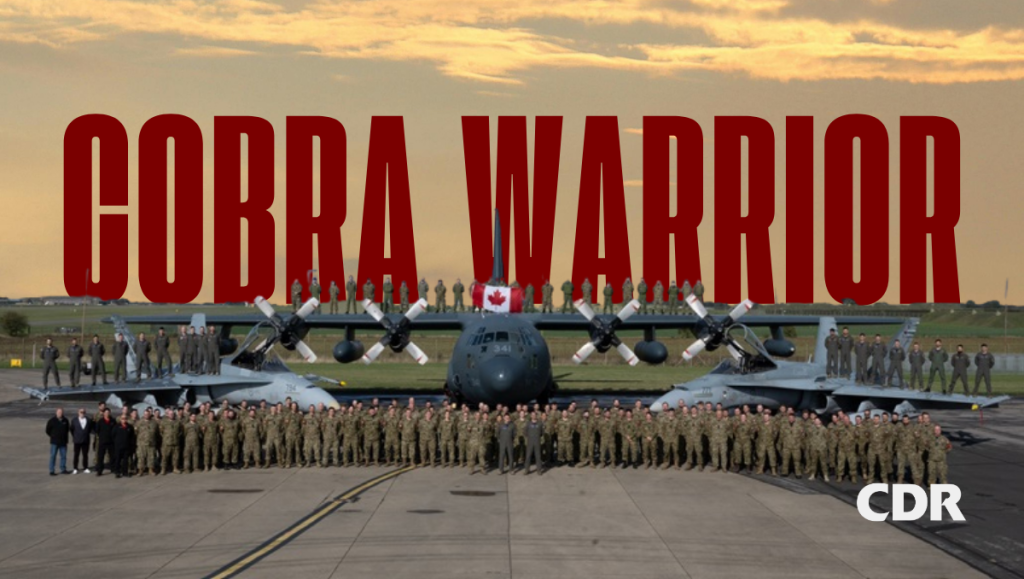 Cobra Warrior